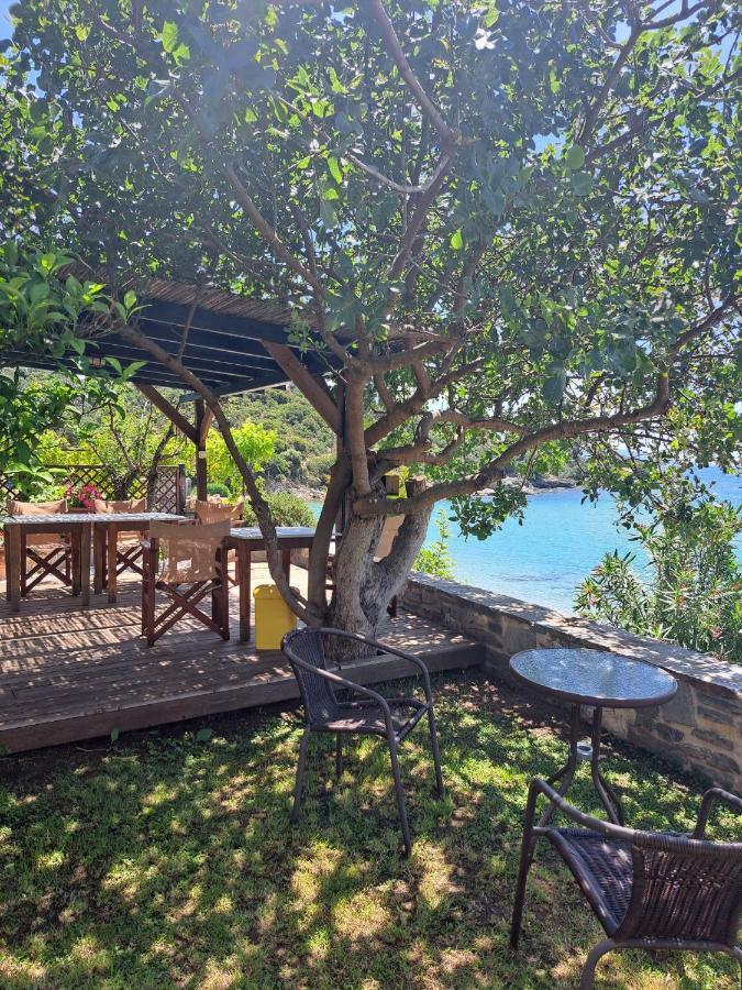 فيلا La Casa Sul Mare PalaiónTsiflíkion المظهر الخارجي الصورة