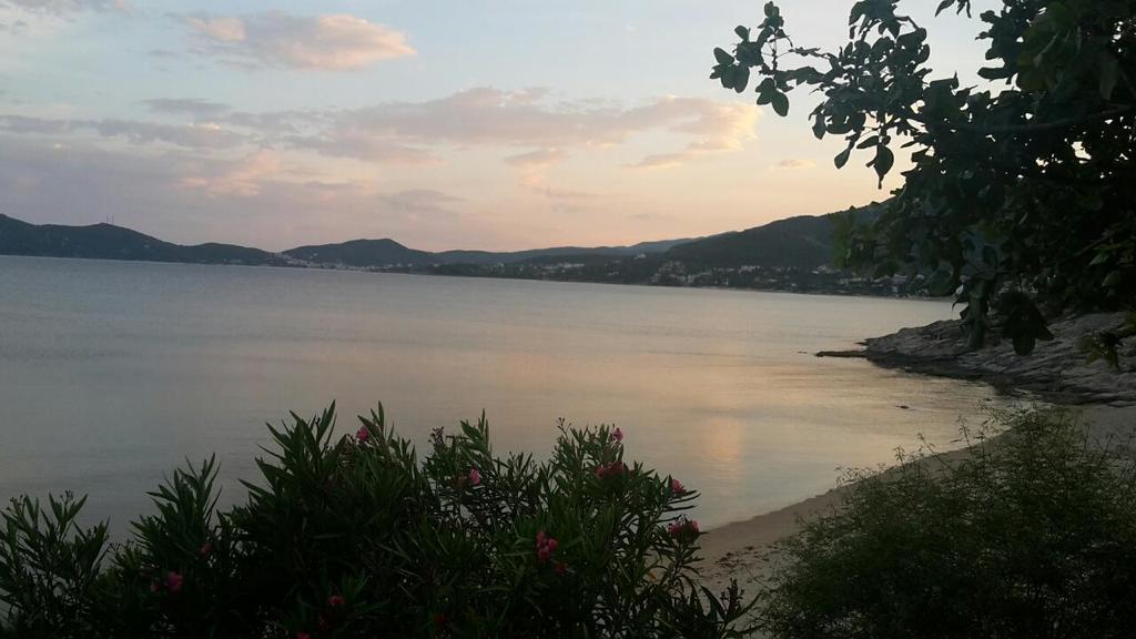 فيلا La Casa Sul Mare PalaiónTsiflíkion المظهر الخارجي الصورة